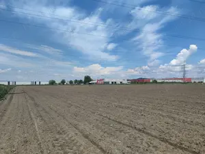 Teren intravilan cu potențial excelent în Triaj - Narciselor. - imagine 6