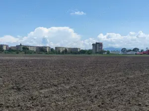 Teren intravilan cu potențial excelent în Triaj - Narciselor. - imagine 4