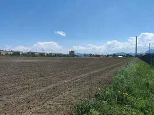 Teren intravilan cu potențial excelent în Triaj - Narciselor. - imagine 5
