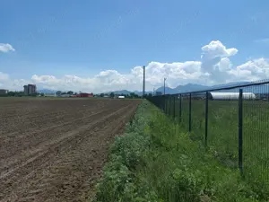 Teren intravilan cu potențial excelent în Triaj - Narciselor.