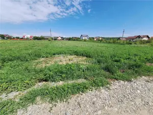 Teren intravilan 3177 mp, zona Serbanesti