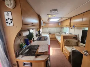 Rulota Bailey Senator Arizona 5 - imagine 8