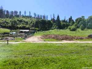 Teren intravilan deosebit - Cristian.