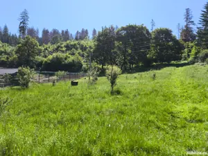 Teren intravilan deosebit - Cristian. - imagine 5