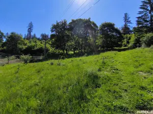 Teren intravilan deosebit - Cristian. - imagine 3