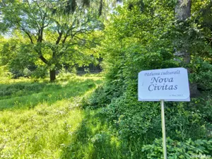 Teren intravilan deosebit - Cristian. - imagine 8