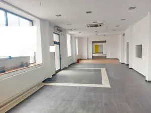 Spatiu comercial de 520 de mp. la granita de sud a orasului - imagine 9