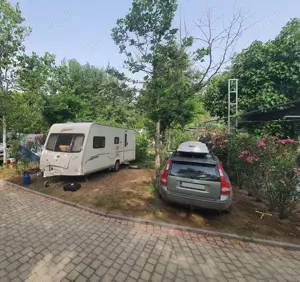 Rulota Bailey Senator Arizona 5 - imagine 6