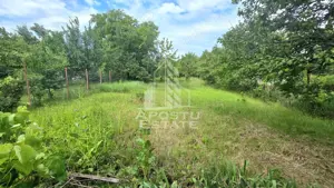 Casa individuala 3 camere, teren 678 mp Parneava - imagine 11