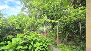 Casa individuala 3 camere, teren 678 mp Parneava - imagine 10