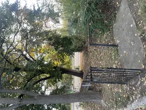 Apartament ultracentral - imagine 9 Apartament ultracentral - imagine 9