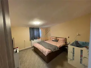 CASA + 8138MP TEREN | SACADAT | BIHOR - imagine 14