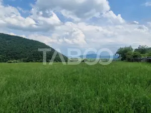 Priveliste deosebita de vanzare de pe teren de 1645mp extravilan Orlat - imagine 2