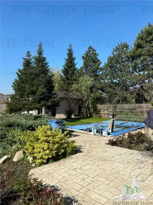 Vila de exceptie 6 camere 450 mp utili, 1000 mp teren, piscina Rosu-Padure - imagine 7