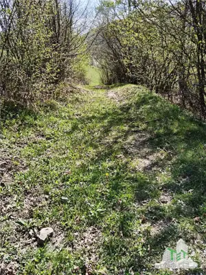 De vanzare teren intravilan, 23.594 mp, imprejmuit, cu utilitati - Rosia Montana - imagine 16