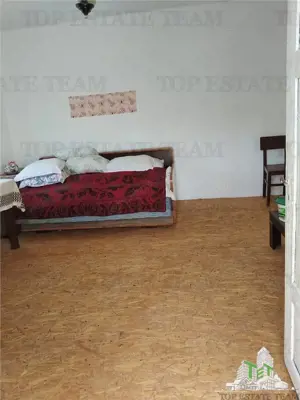 De vanzare teren intravilan, 23.594 mp, imprejmuit, cu utilitati - Rosia Montana - imagine 8