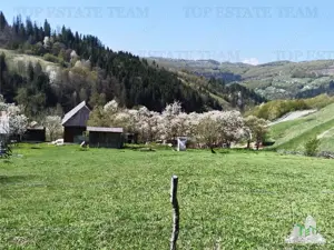 De vanzare teren intravilan, 23.594 mp, imprejmuit, cu utilitati - Rosia Montana - imagine 12