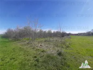 Teren 4000 mp + casa demolabila in Bragadiru Varteju (Magurele) - imagine 10