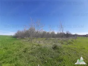 Teren 4000 mp + casa demolabila in Bragadiru Varteju (Magurele) - imagine 7