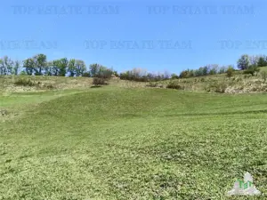 De vanzare teren intravilan, 23.594 mp, imprejmuit, cu utilitati - Rosia Montana - imagine 18