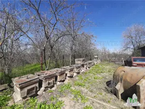 Teren 4000 mp + casa demolabila in Bragadiru Varteju (Magurele) - imagine 3