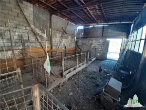 Teren 4000 mp + casa demolabila in Bragadiru Varteju (Magurele) - imagine 13