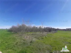 Teren 4000 mp + casa demolabila in Bragadiru Varteju (Magurele) - imagine 4