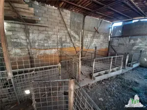 Teren 4000 mp + casa demolabila in Bragadiru Varteju (Magurele) - imagine 9