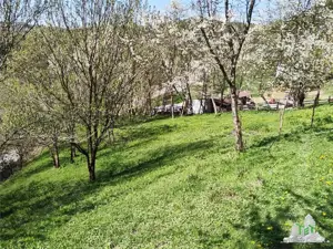 De vanzare teren intravilan, 23.594 mp, imprejmuit, cu utilitati - Rosia Montana - imagine 20