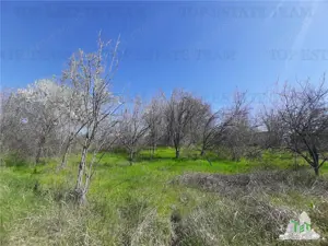 Teren 4000 mp + casa demolabila in Bragadiru Varteju (Magurele)