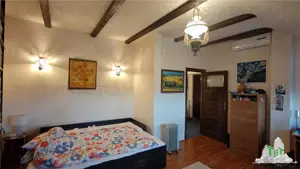 Apartament de 3 camere ultracentral, 2 intrari, lift cu acces privat, pod pentru depozitare, central - imagine 8