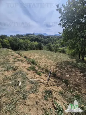 Teren intravilan pentru investitie turistica, 4000 mp, langa Club Vila Bran cu peisaj de poveste - imagine 3