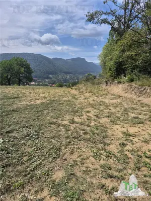 Teren intravilan pentru investitie turistica, 4000 mp, langa Club Vila Bran cu peisaj de poveste - imagine 7