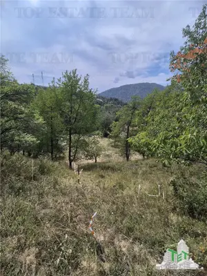 Teren intravilan pentru investitie turistica, 4000 mp, langa Club Vila Bran cu peisaj de poveste - imagine 6