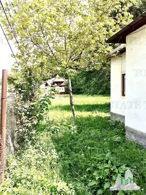 VIla 5 camere + casa rustica 4 camere, teren 5699 mp, ideal pentru investie turistica zona Rucar - imagine 10