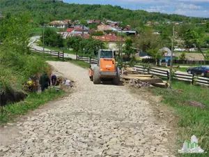Casa de vanzare in Stanomiru  Judetul Valcea cu un teren in suprafata de 320000 mp - imagine 6