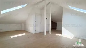 Vanzare Casa Individuala Tunari - imagine 9