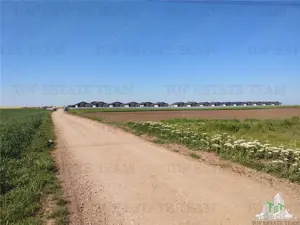 Teren intravilan - vanzare - Calarasi - Frumusani - imagine 3