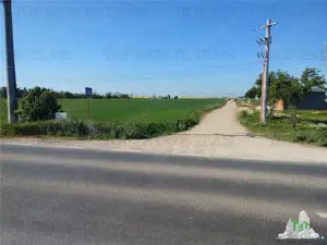 Teren intravilan - vanzare - Calarasi - Frumusani - imagine 2