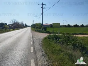 Teren intravilan - vanzare - Calarasi - Frumusani