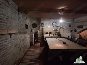 Casa individuala -Braila - centru - vanzare - imagine 11