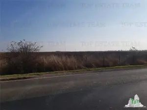 Teren extravilan - Braila - E584 - vanzare