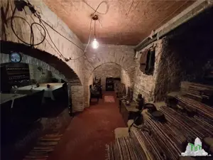 Casa individuala -Braila - centru - vanzare - imagine 13