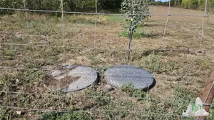 Teren stradal si intravilan 2431mp, P+1E+Pod,Magurele, Ilfov - imagine 2