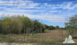 Teren stradal si intravilan 2431mp, P+1E+Pod,Magurele, Ilfov - imagine 3