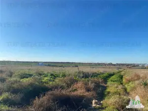 TEREN INTRAVILAN BOREAL - imagine 2