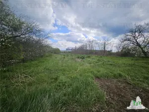 TEREN 3846 M TOPRAISAR - imagine 2