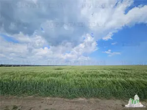 TEREN INTRAVILAN 50000 MP AGIGEA ZONA RO RO - imagine 2