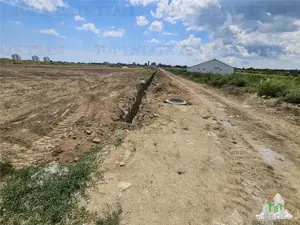 TEREN INTRAVILAN 50000 MP AGIGEA ZONA RO RO - imagine 5