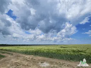 TEREN INTRAVILAN 50000 MP AGIGEA ZONA RO RO - imagine 10